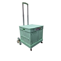 Foldable 8 Wheel Shopping Trolley